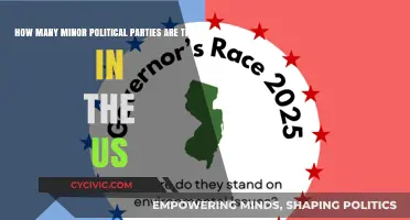 Exploring the Diverse Landscape of Minor Political Parties in the US