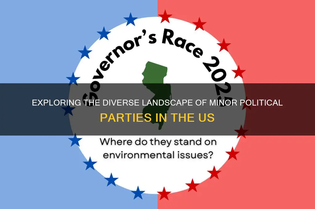 how many minor political parties are there in the us