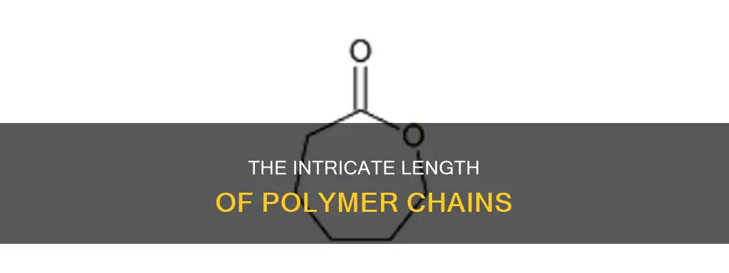how many monomers typically constitute a polymer chain