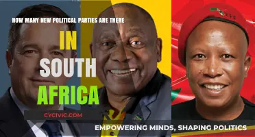 Exploring South Africa's Political Landscape: The Rise of New Parties