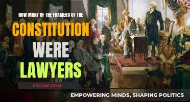 Lawyers and the Framing of the Constitution