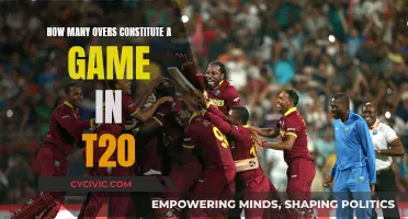 T20 Cricket Basics: Understanding Overs in a Game