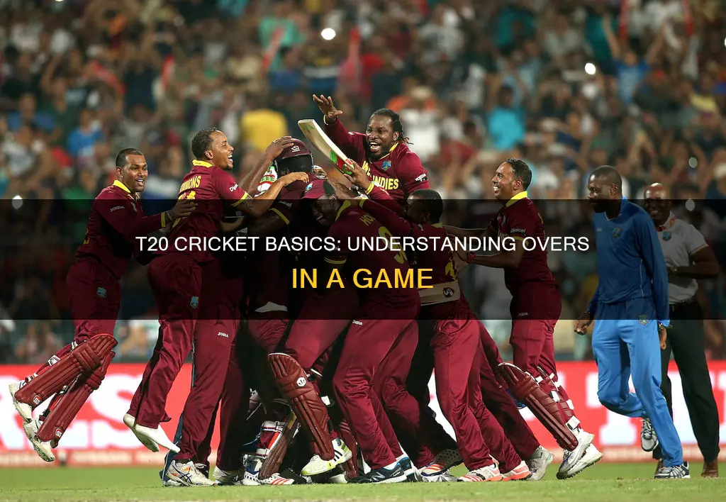 how many overs constitute a game in t20