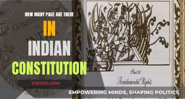 The Lengthy Indian Constitution: A Comprehensive Document