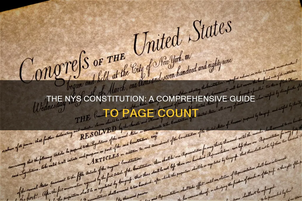 how many pages are in the nys constitution