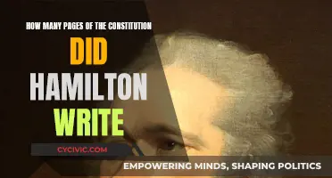 Hamilton's Significant Contribution to the US Constitution