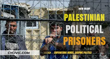 Palestinian Political Prisoners: Counting the Detainees in Israeli Custody