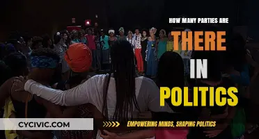 Exploring the Diverse Political Landscape: Counting Parties and Their Roles