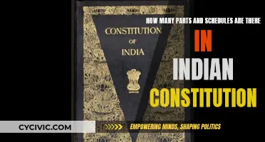 Exploring the Indian Constitution's Intricate Parts and Schedules