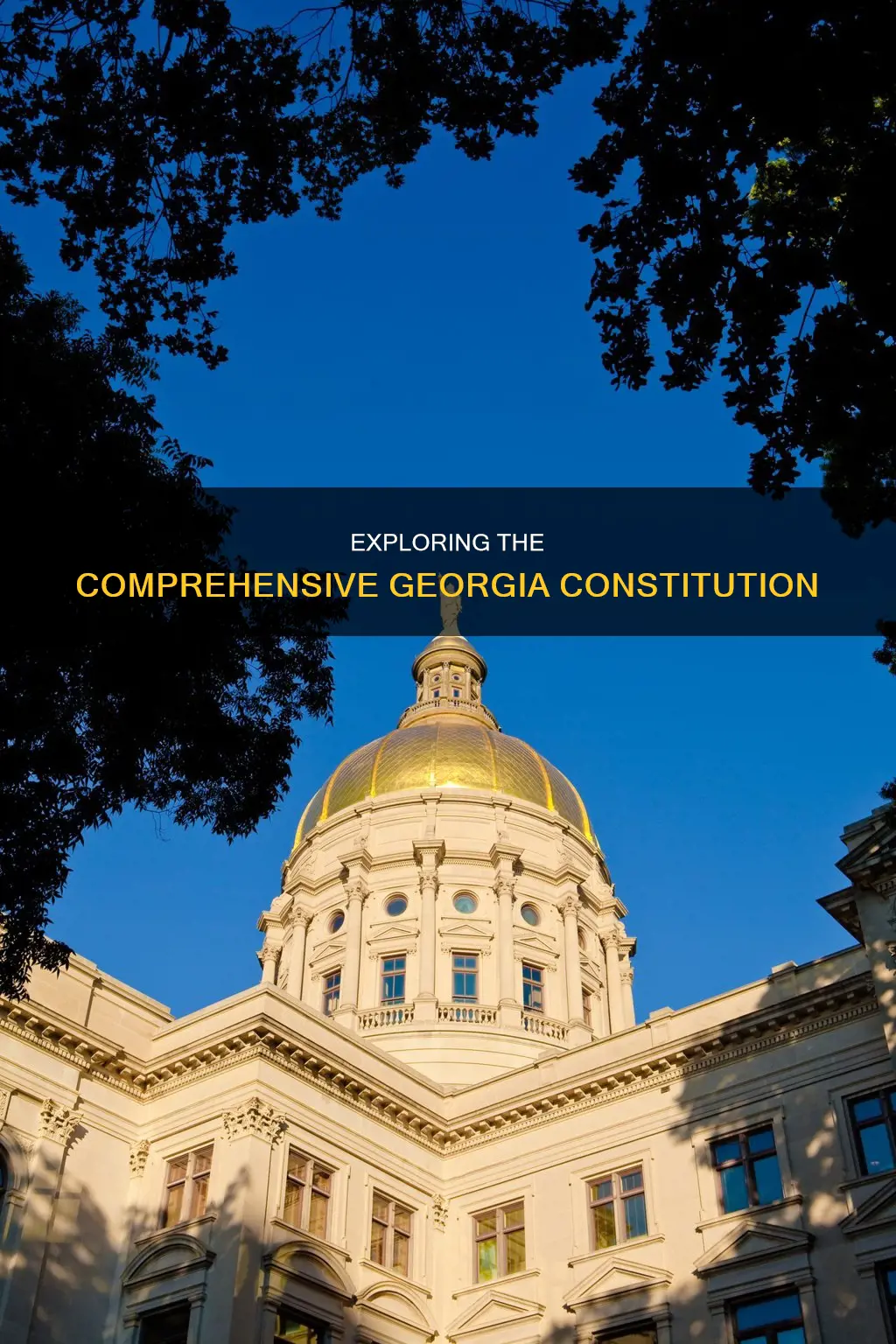 how many parts are in the georgia constitution