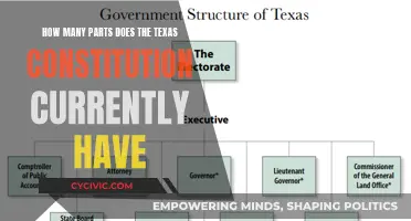 Exploring Texas' Complex Constitution: A Multi-Part Overview