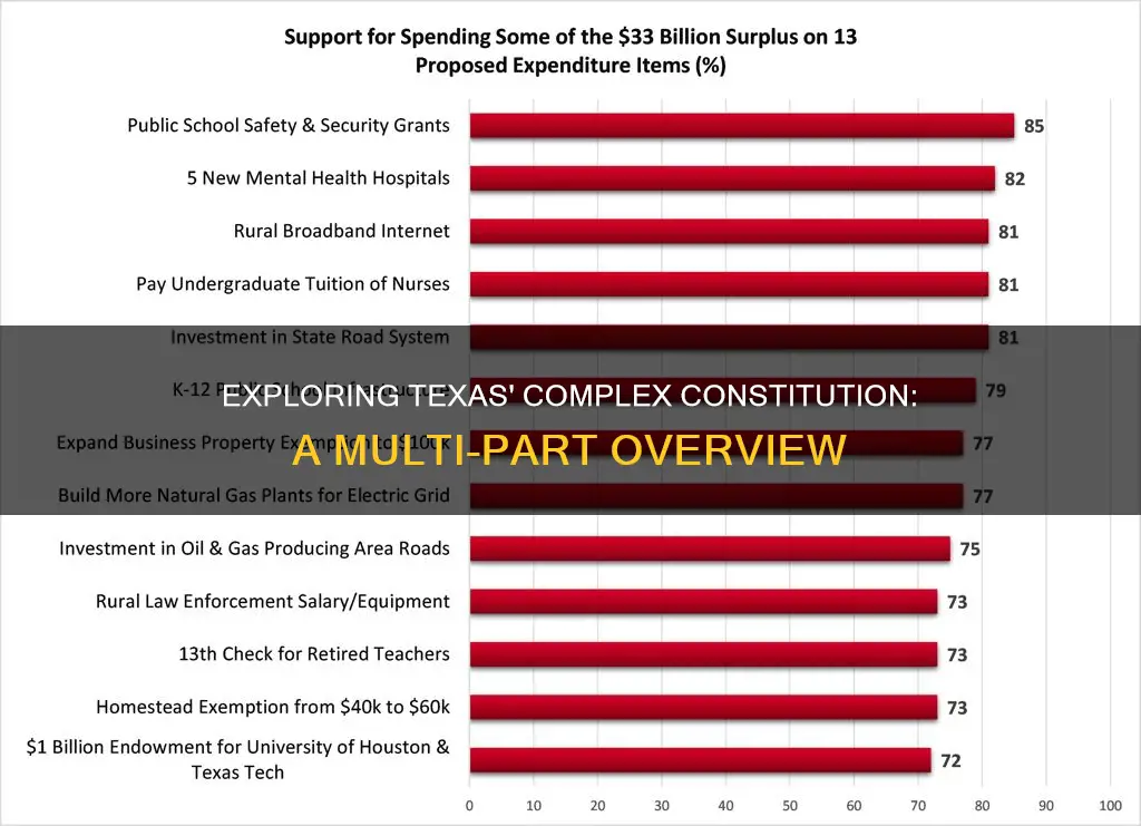 how many parts does the texas constitution currently have