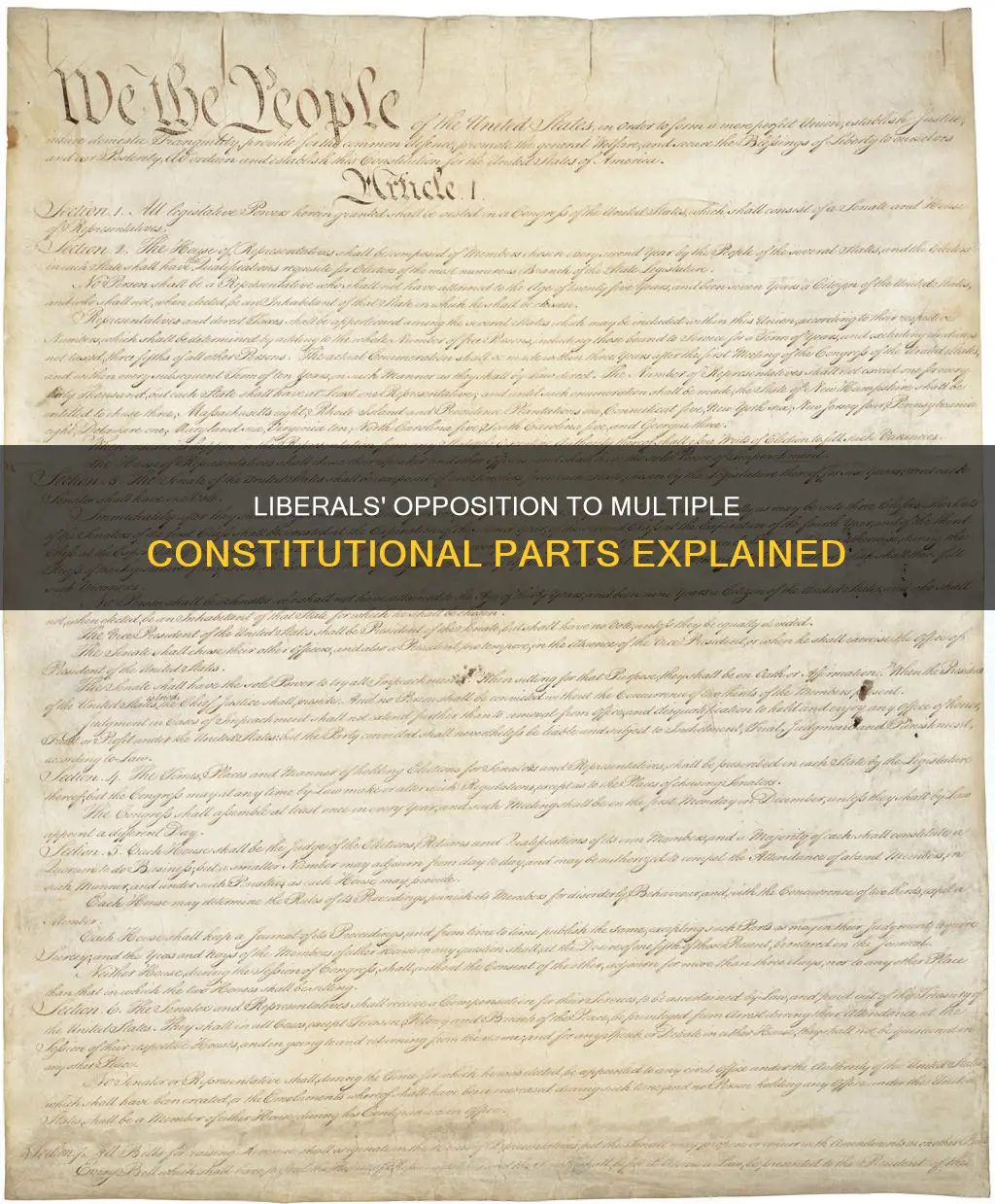 how many parts of the constitution are liberals against