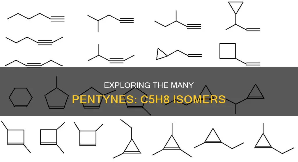how many pentyne constitutional isomers of c5h8 are there