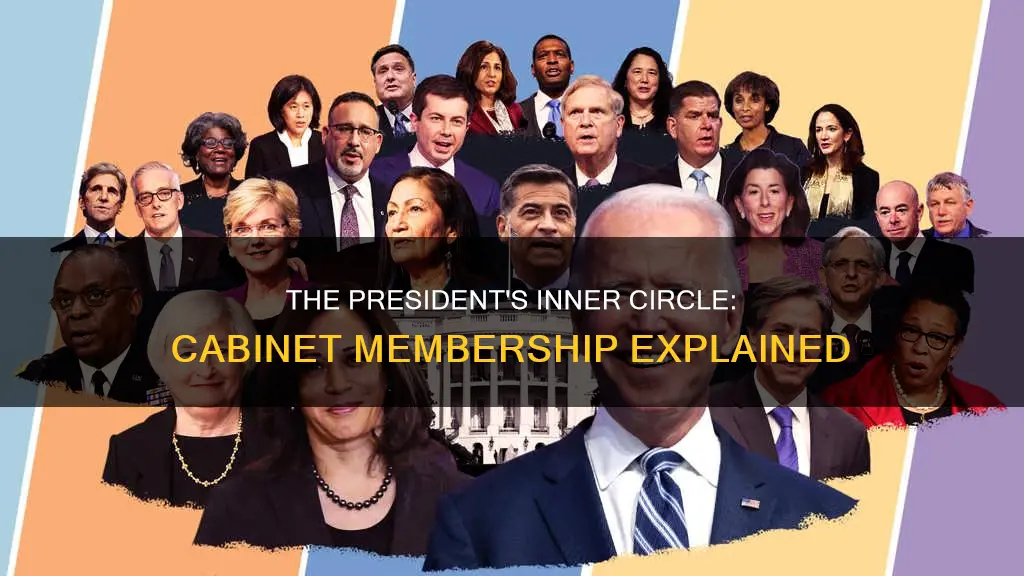 how many people are in a presidential cabinet