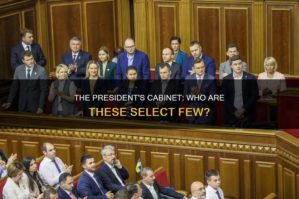 how many people are in the predidents cabnet