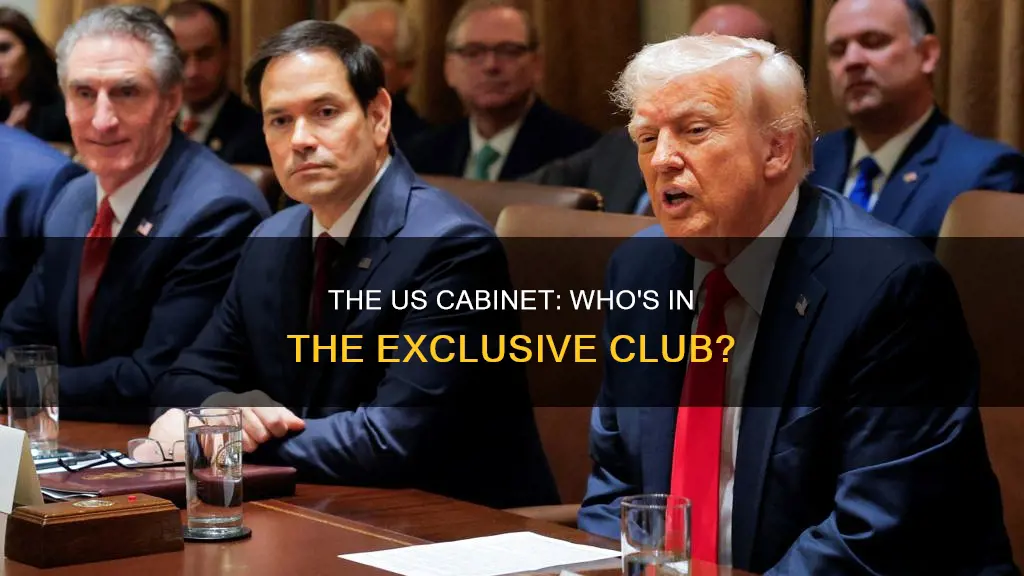 how many people are in the us cabinet
