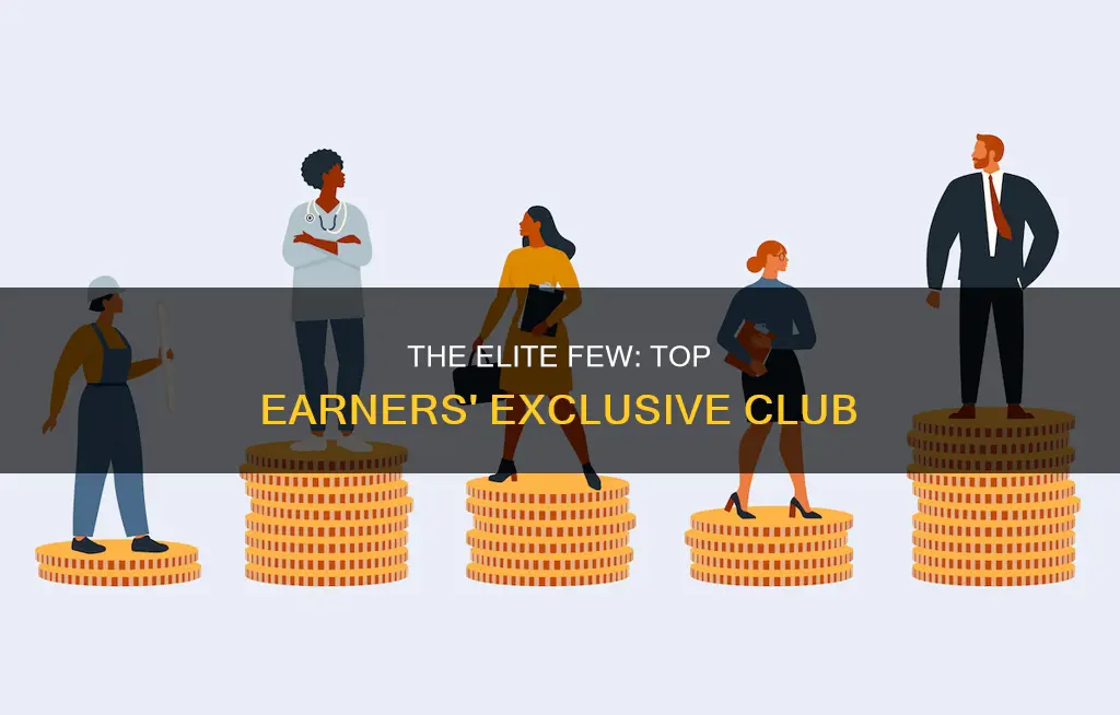 how many people constitute the top 1 earners