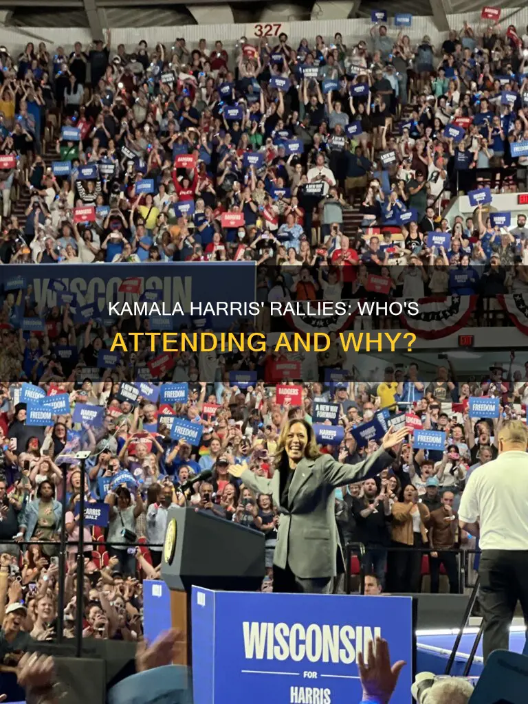 how many people go to kamala harris rallies