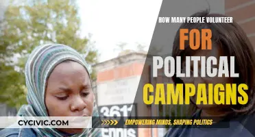 Volunteering for Political Campaigns: Who and How Many?