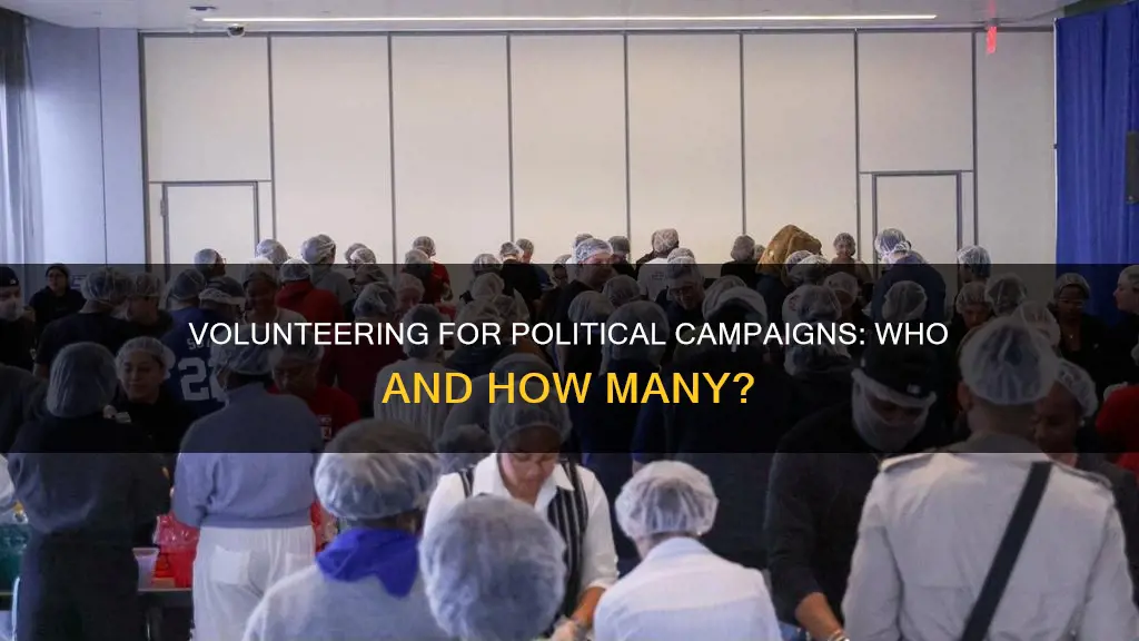 how many people volunteer for political campaigns