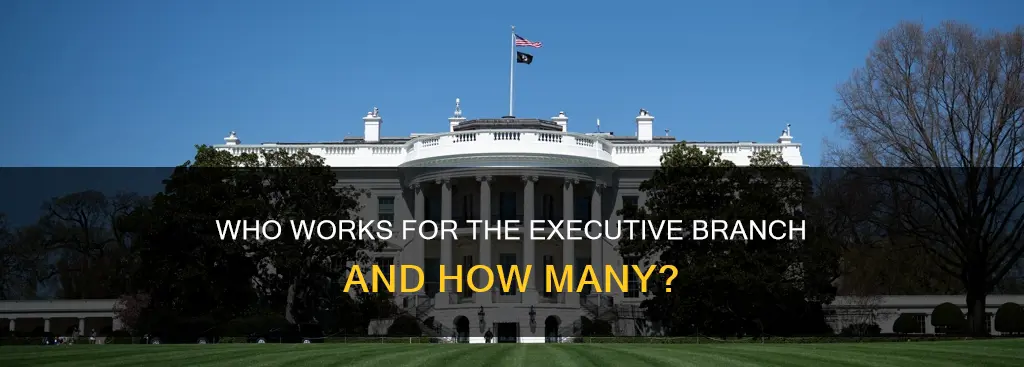 how many people work for the executive branch