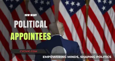 Understanding the Scale: Political Appointees in Government Roles