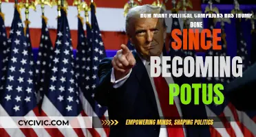 Trump's Political Campaigns: A Post-POTUS Marathon
