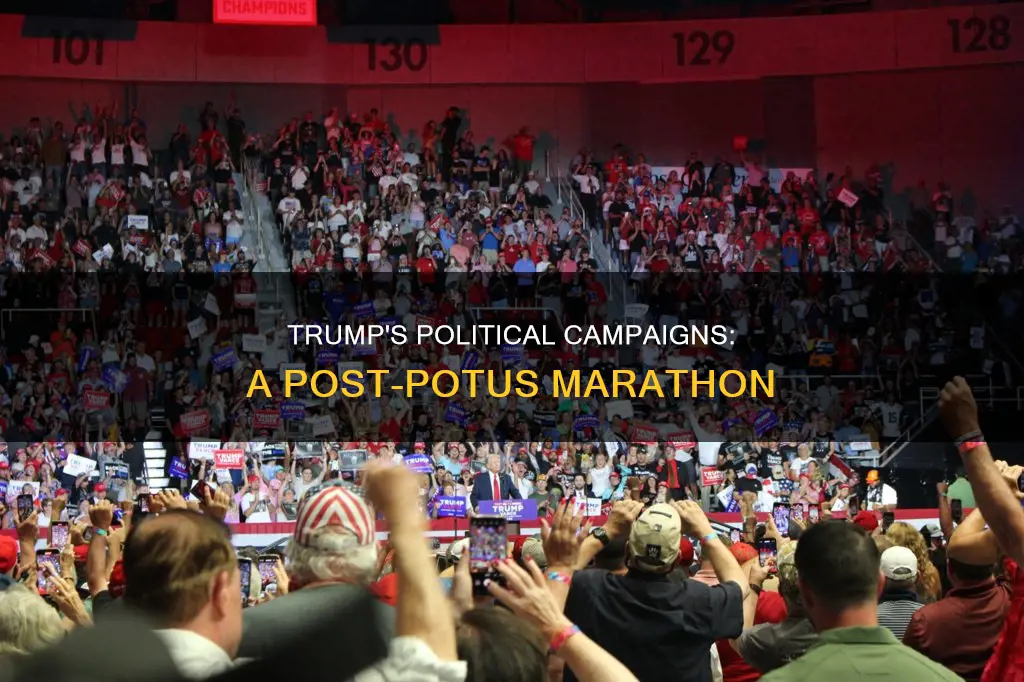 how many political campaigns has trump done since becoming potus