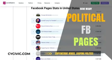 Exploring the Proliferation of Political Facebook Pages Online