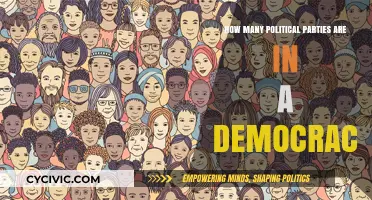 Exploring the Role and Number of Political Parties in Democratic Systems