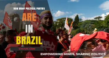 Exploring Brazil's Diverse Political Landscape: Counting the Parties