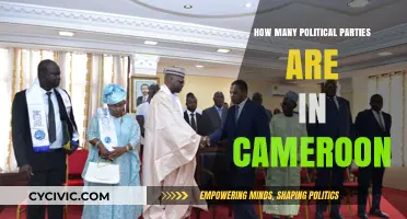 Exploring Cameroon's Political Landscape: The Number of Active Parties
