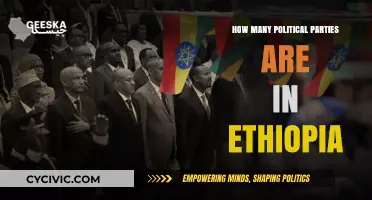 Exploring Ethiopia's Political Landscape: A Comprehensive Party Count