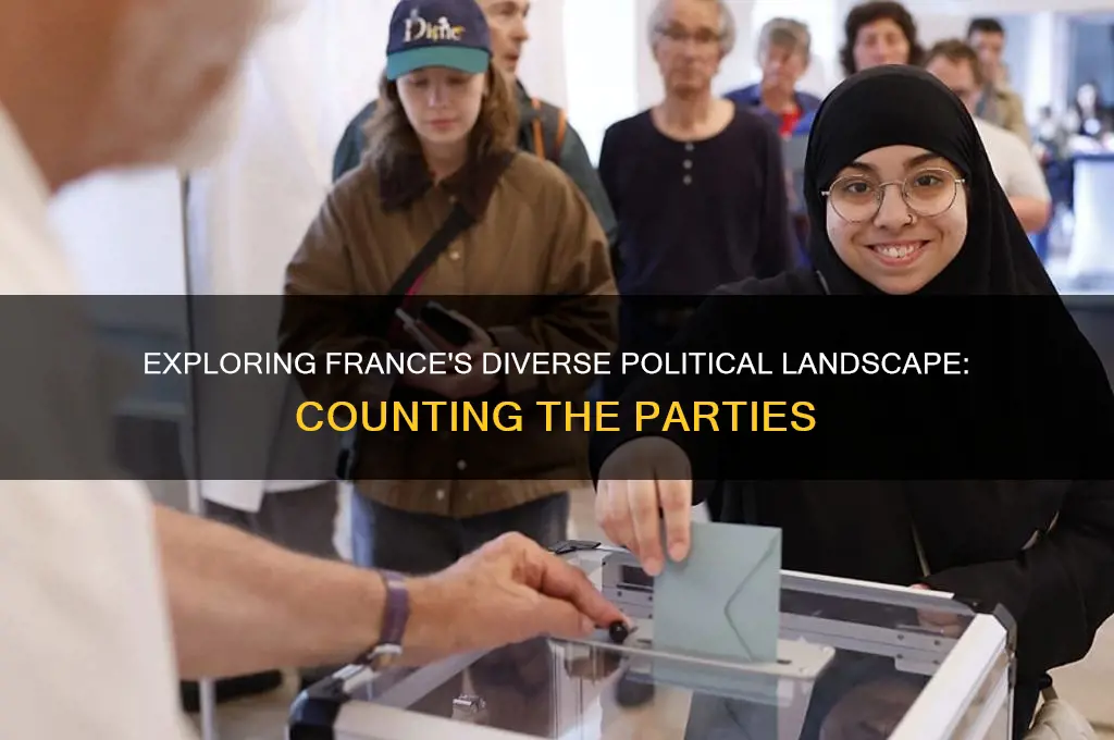 how many political parties are in france