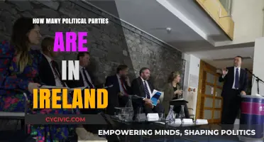 Exploring Ireland's Political Landscape: A Comprehensive Party Count Guide