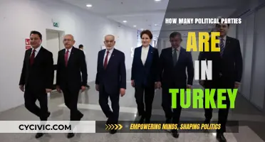 Exploring Turkey's Political Landscape: A Comprehensive Party Count