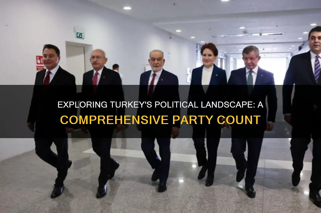 how many political parties are in turkey