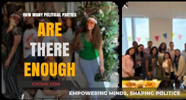 Are There Enough Political Parties to Represent Diverse Voices?