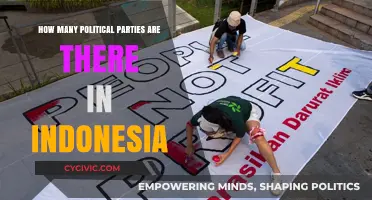 Exploring Indonesia's Diverse Political Landscape: Counting the Parties