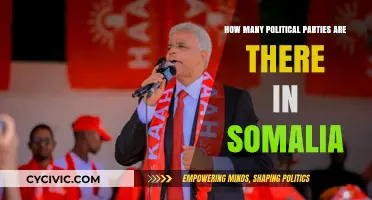 Exploring Somalia's Political Landscape: A Look at Its Numerous Parties