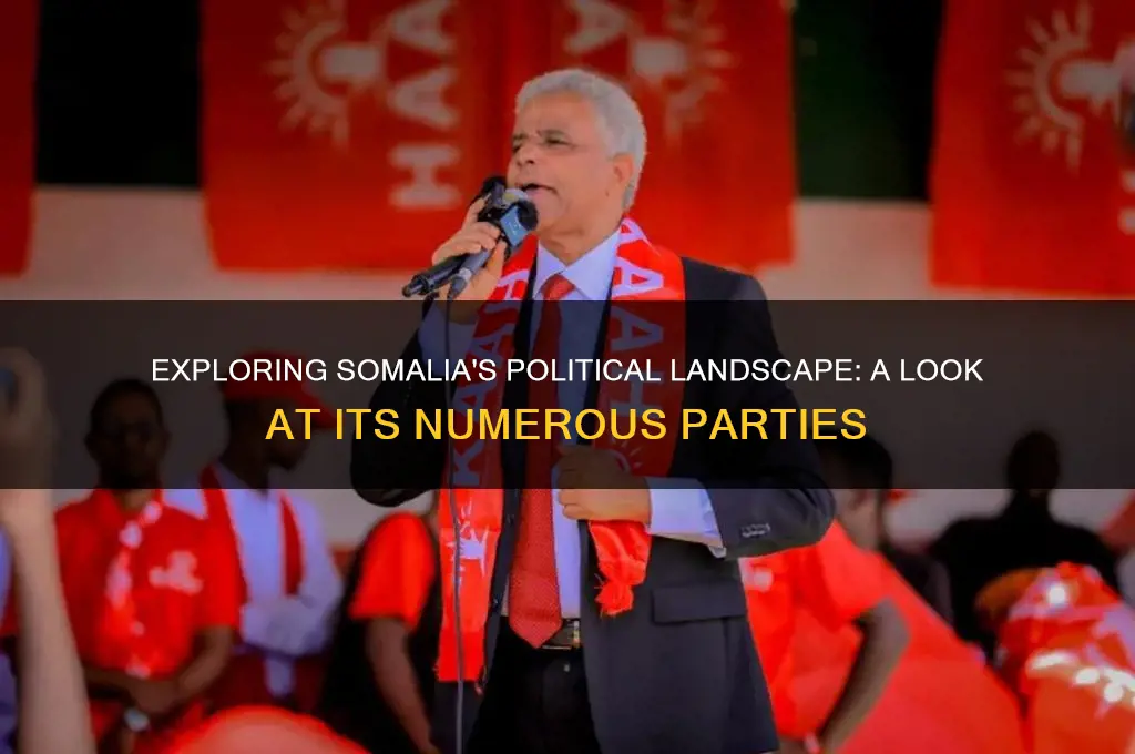 how many political parties are there in somalia