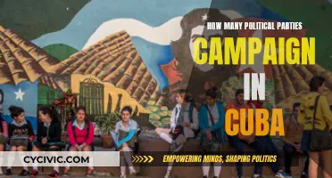 Cuba's Political Parties: Who Campaigns for the Country's Future?