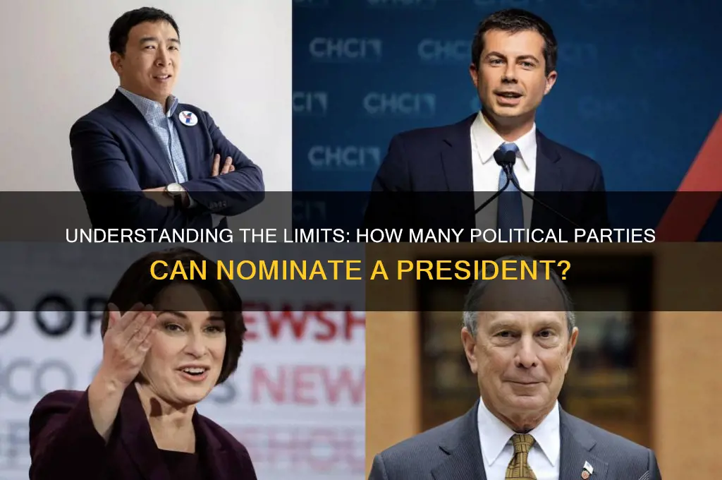 how many political parties can present a presidential candidate