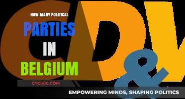 Exploring Belgium's Diverse Political Landscape: A Look at Its Numerous Parties