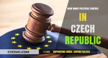 Exploring the Czech Republic's Diverse Political Party Landscape