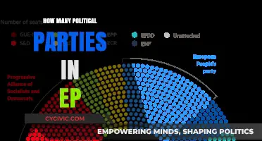 Exploring the Diverse Political Parties in the European Parliament