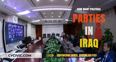 Exploring Iraq's Diverse Political Landscape: Counting the Parties