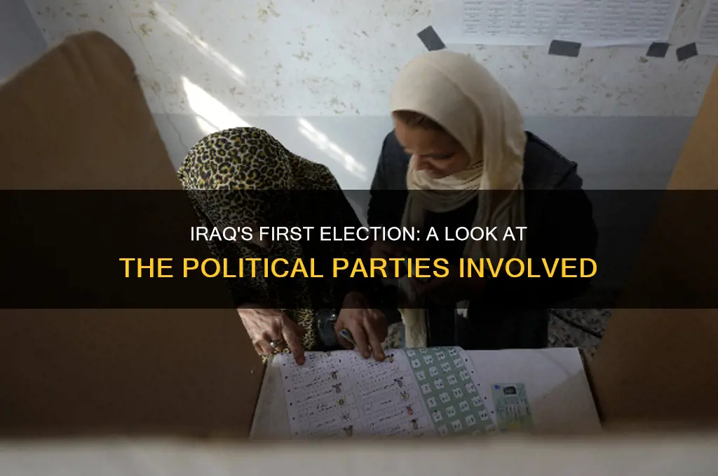 how many political parties in iraq