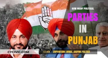Exploring Punjab's Political Landscape: A Comprehensive Party Count Guide
